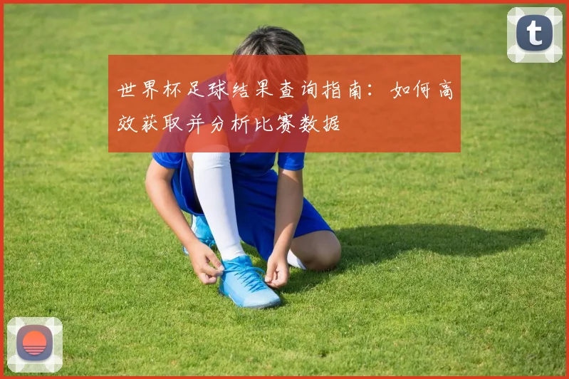 世界杯足球结果查询指南：如何高效获取并分析比赛数据