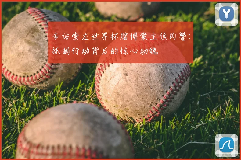 专访崇左世界杯赌博案主侦民警:抓捕行动背后的惊心动魄