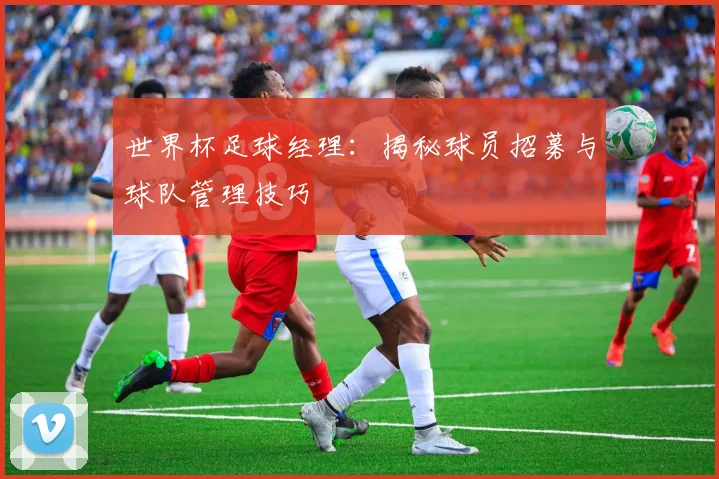 世界杯足球经理：揭秘球员招募与球队管理技巧
