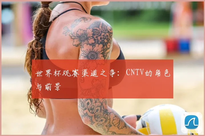 世界杯观赛渠道之争:CNTV的角色与前景