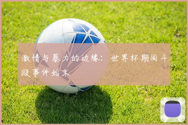 激情与暴力的边缘：世界杯期间斗殴事件始末